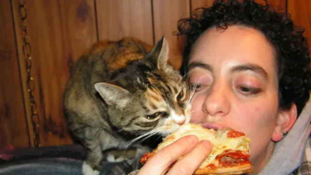 6 Potret Orang Makan Bareng Kucing Ini Bikin Ngakak