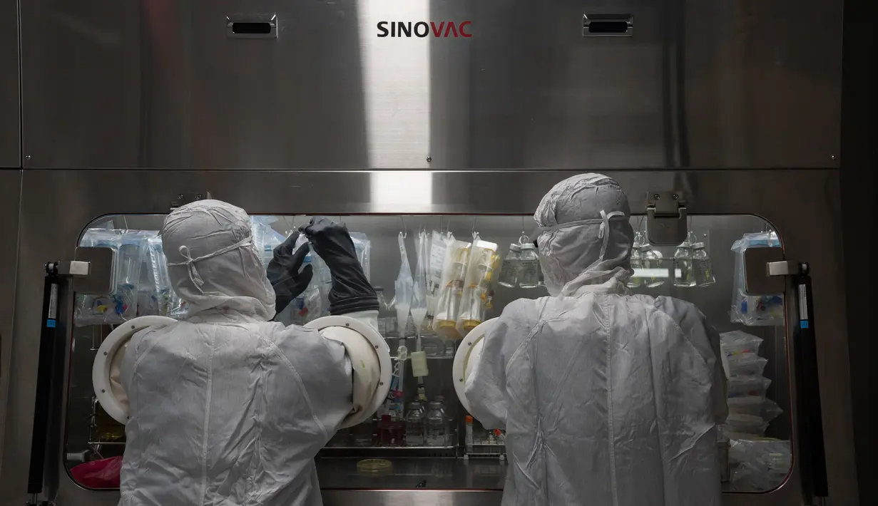 Pekerja berada di laboratorium vaksin SinoVac di Beijing, Kamis (24/9/2020). Perusahaan farmasi China, Sinovac mengatakan vaksin virus corona yang dikembangkannya akan siap didistribusikan ke seluruh dunia, termasuk AS, pada awal 2021. (AP Photo/Ng Han Guan)