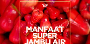 Manfaat Super Jambu Air untuk Kesehatan