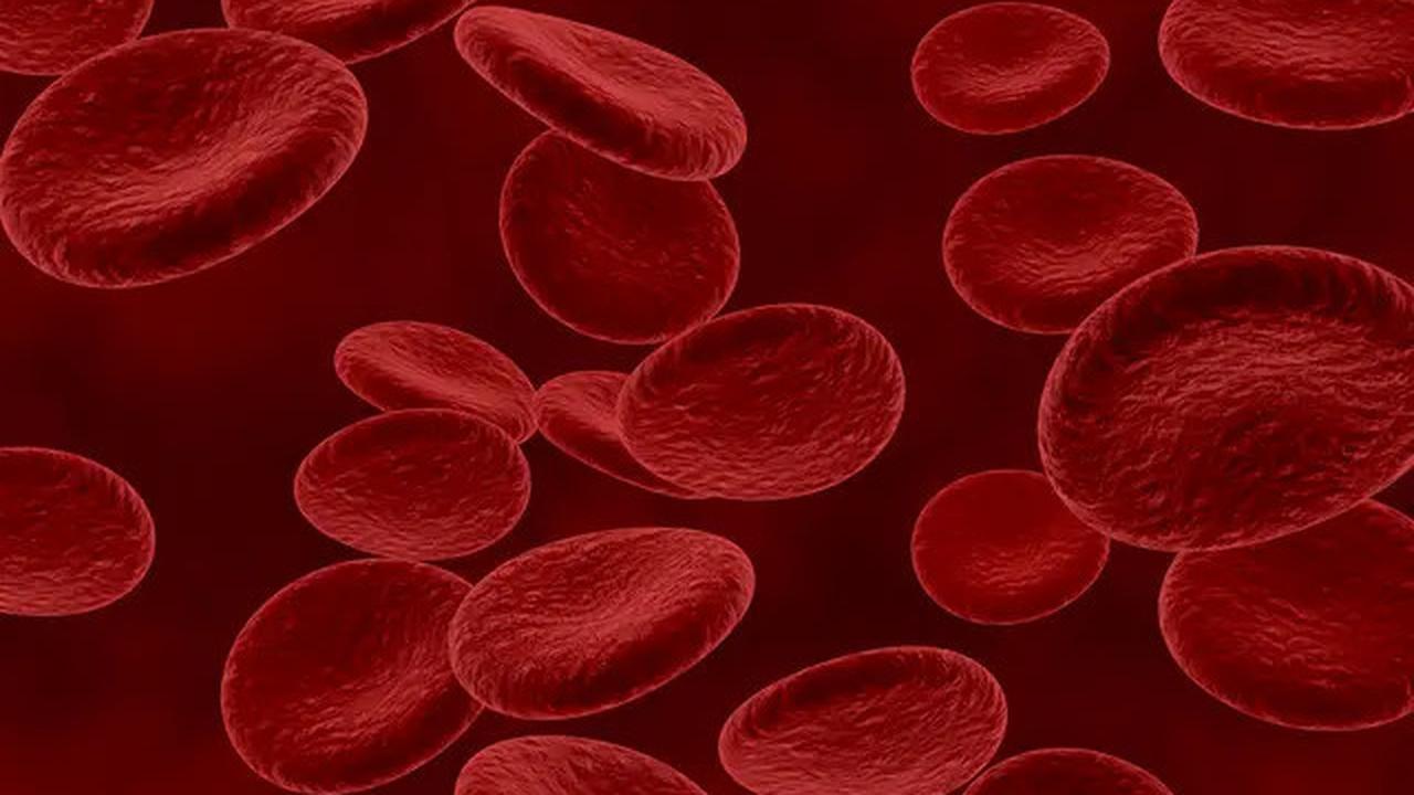 Aturan Naik Pesawat Terbang pada Ibu Hamil, Kondisi Anemia Boleh Naik Pesawat atau Enggak?