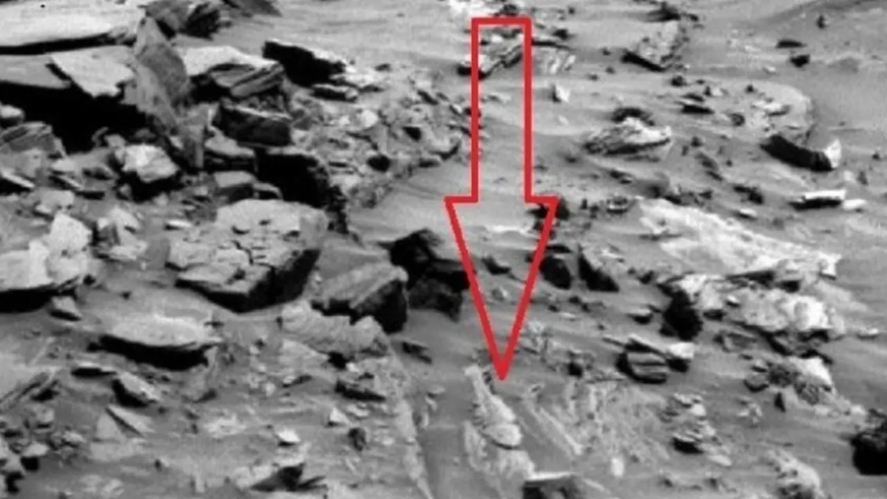 Citra visual diduga fosil ikan di Planet Mars. Foto : mars.jpl.nasa.gov