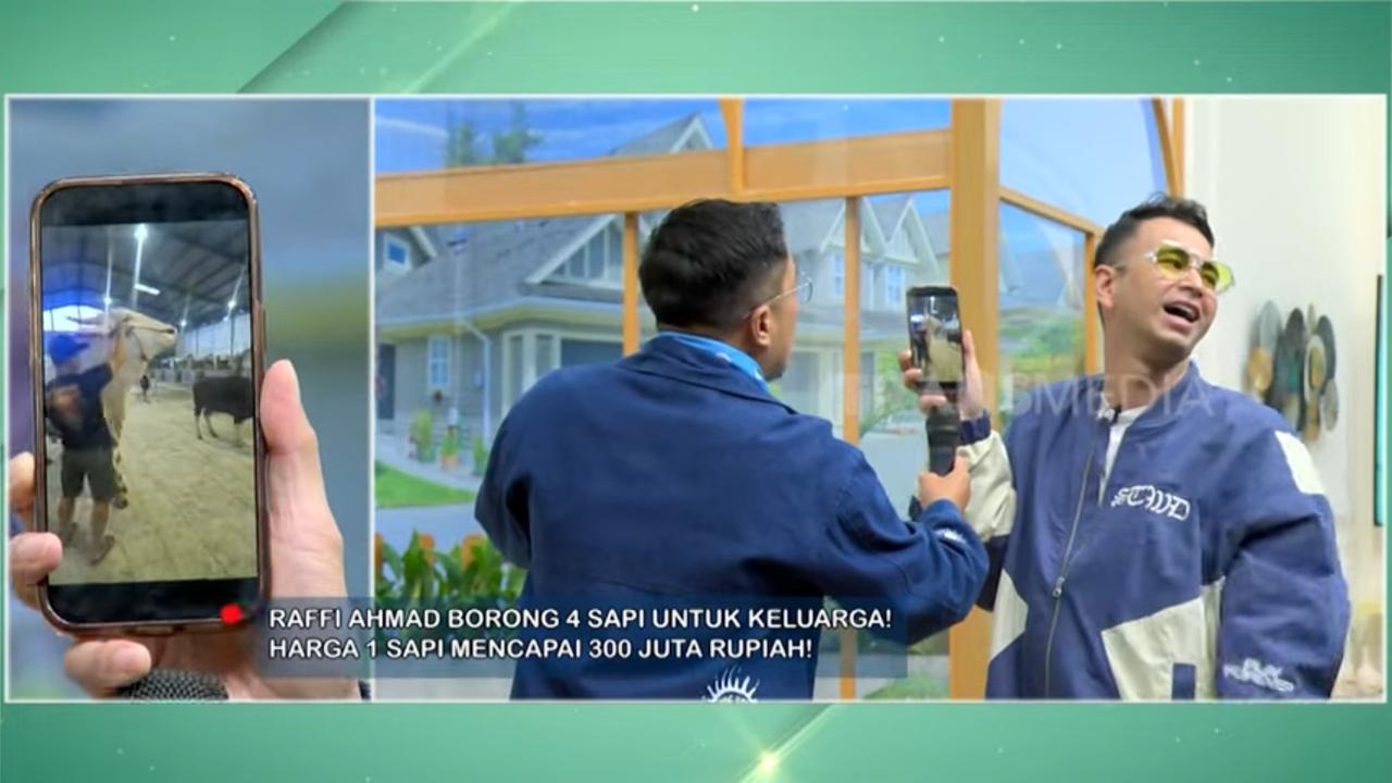 Penampakan Sapi Kurban Nagita Slavina Setinggi Dua Meter, Beda Banget sama Punya Baby Lily yang Kecil Mungil