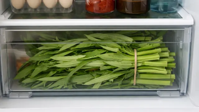 kangkung