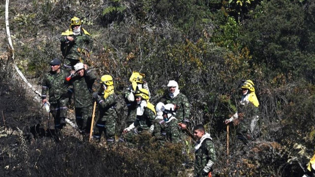 Musibah ini telah mengerahkan ribuan petugas gabungan untuk turun langsung memadamkan api yang yang membakar hutan Bogota.<br>(Foto RAUL ARBOLEDA / AFP)<br>