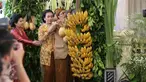 Orangtua Selvi Ananda didampingi keluarga melakukan proses pemasangan bleketepe di depan rumah kontrakan mempelai wanita di Banyuanyar, Sumber, Solo, Jateng, Rabu (10/6/2015). (Liputan6.com/Faizal Fanani)