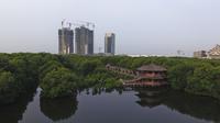 Wisata Mangrove di Jakarta. (Liputan6.com/Web/Kementerian Pariwisata dan Ekonomi Kreatif RI)