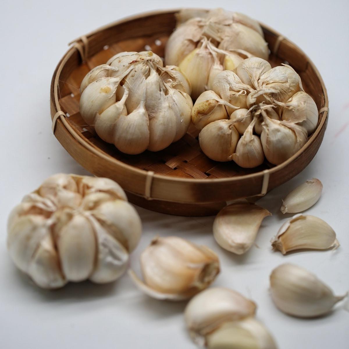 Ilustrasi Bumbu Dapur, Bawang Putih, Bawang