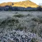 Embun es Dieng, Banjarnegara, Jawa Tengah, Senin pagi, 24 Juni 2019. (Foto: Liputan6.com/UPT Dieng/Muhamad Ridlo)