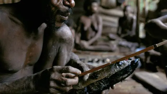 [Bintang] Korowai, Suku Primitif di Ketinggian 50 Meter Tanah Papua