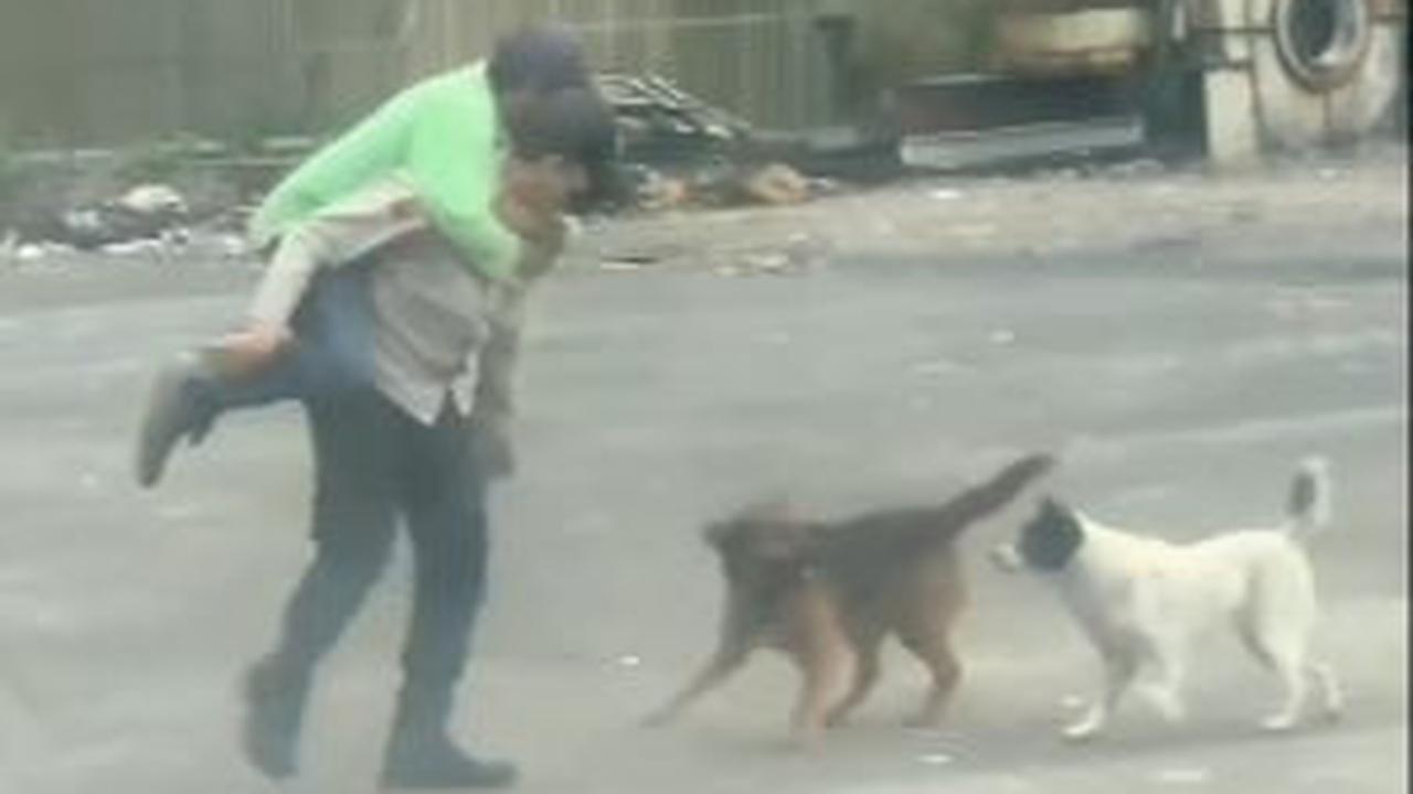 Terlihat dalam video, bapak satpam ini bahkan sampai dikelilingi oleh dua ekor anjing. <br>