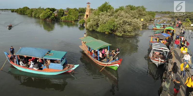 Menikmati Indahnya Wisata Mangrove di Bekasi