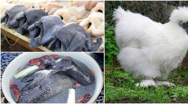 Kuliner Unik Daging Ayam Ini Asli Berwarna Hitam Lifestyle Fimela Com
