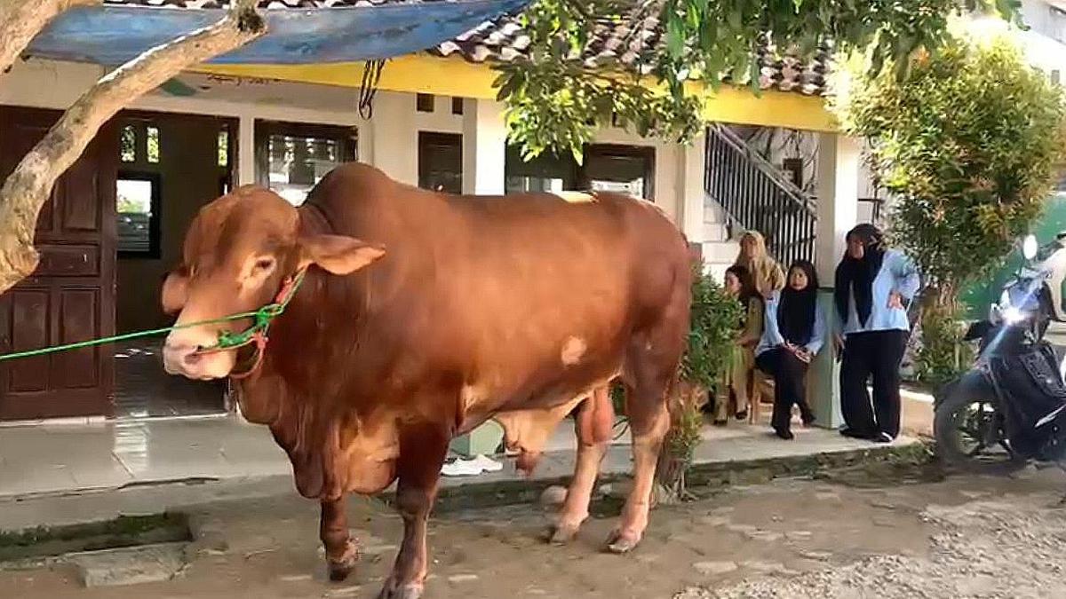 Gerindra sebut banpres kurban dilakukan presiden sebelumnya. Siapa yang dimaksud? Temukan faktanya: