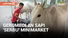 Edan! Gerombolan Sapi Masuk Minimarket Buat Berteduh