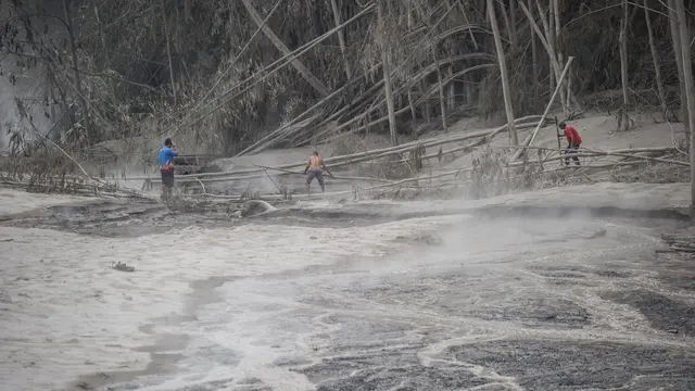 Gunung Semeru Erupsi, Lahan Pertanian di Lumajang Tertutup Debu