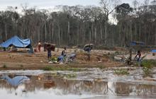 Kamp dibakar polisi, penambang liar di Peru tinggalkan Hutan Amazon