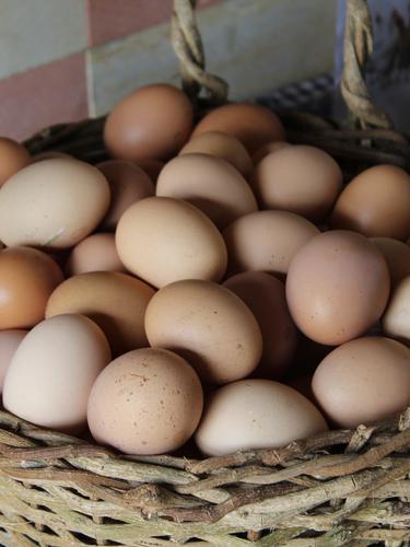 Berapa Lama Sebaiknya Telur Disimpan Di Dalam Lemari Es Lifestyle Fimela Com