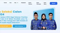 Portal SSCASN BKN CPNS 2024 (sumber: Website SSCASN BKN)