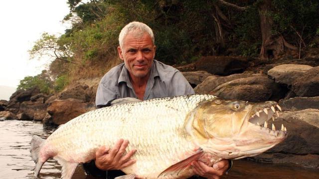 Teror Dalam Air 6 Ikan Monster Ini Bisa Mengoyakmu Kapan Saja Citizen6 Liputan6 Com