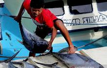 Komoditas Perikanan Pemicu Utama Deflasi Maluku Maret 2026