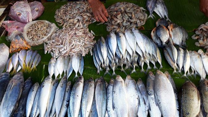 Inovasi Efektif untuk Jaga Stok Ikan di Laut Indonesia - Health