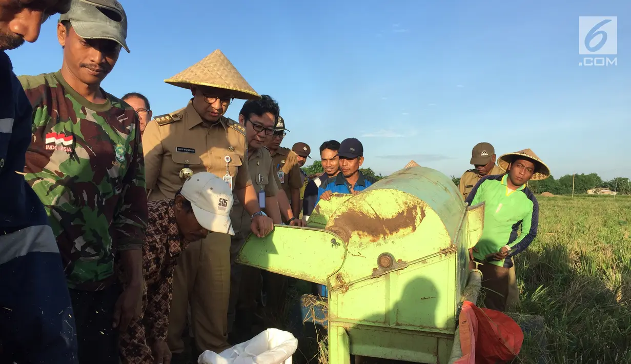 Gubernur DKI Jakarta, Anies Baswedan menggunakan mesin tleser untuk merontokkan padi yang dipanen di kawasan Cakung, Jakarta, Selasa (23/1). Anies ditemani jajaran pejabat Pemprov DKI saat memanen padi. (Liputan6.com/Devira Prastiwi)