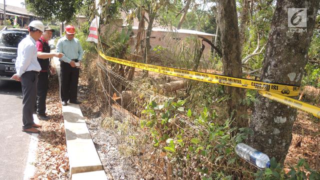 Pohon Sengon dan Desa Malon