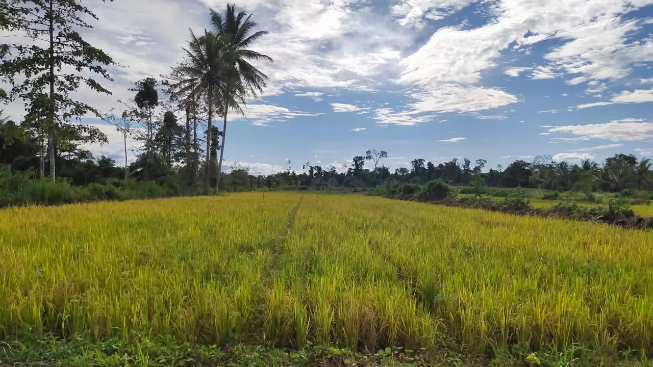 Kementan