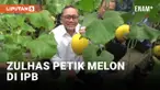 Dorong Swasembada Pangan, Zulhas Datangi IPB