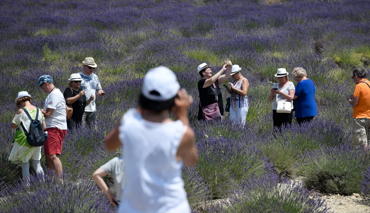 Wisatawan berfoto ketika mereka berjalan melintasi ladang lavender di Valensole, sebelah tenggara Prancis pada 29 Juni 2019. Di wilayah ini terdapat hamparan luas ladang lavender, menyatu cantik dengan lanskap bukit dan pegunungan di belakangnya. (Photo by GERARD JULIEN / AFP)