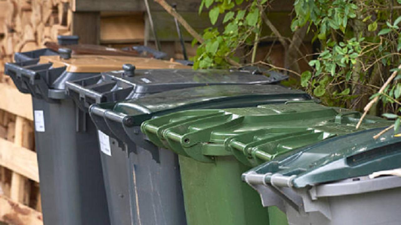 Ilustrasi tong sampah (iStock)