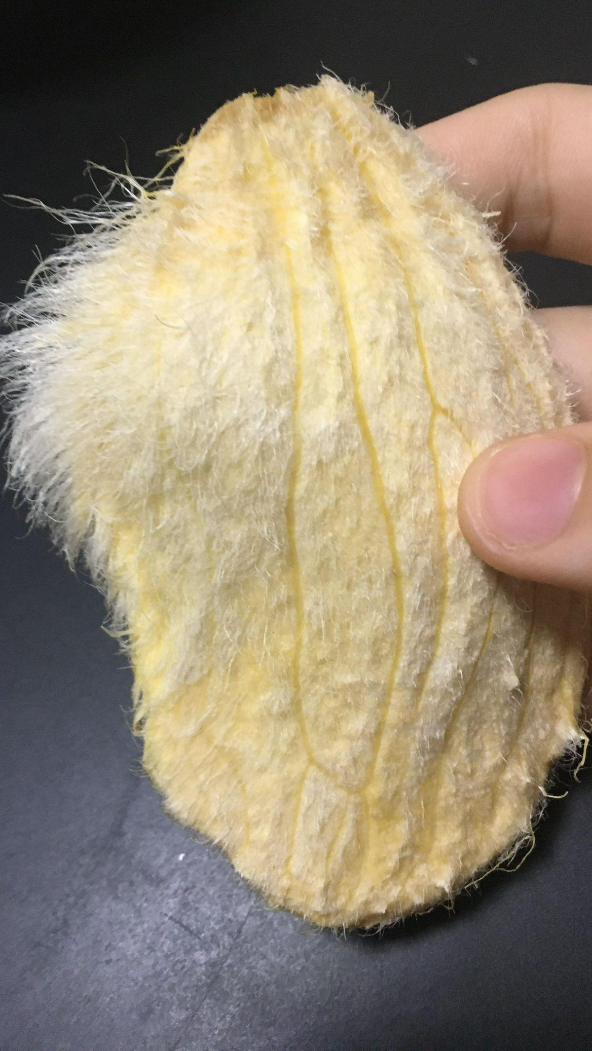 Unggahan Liu juga memperlihatkan bagaimana perubahan warna dari biji mangga itu dari kekuningan menjadi putih.