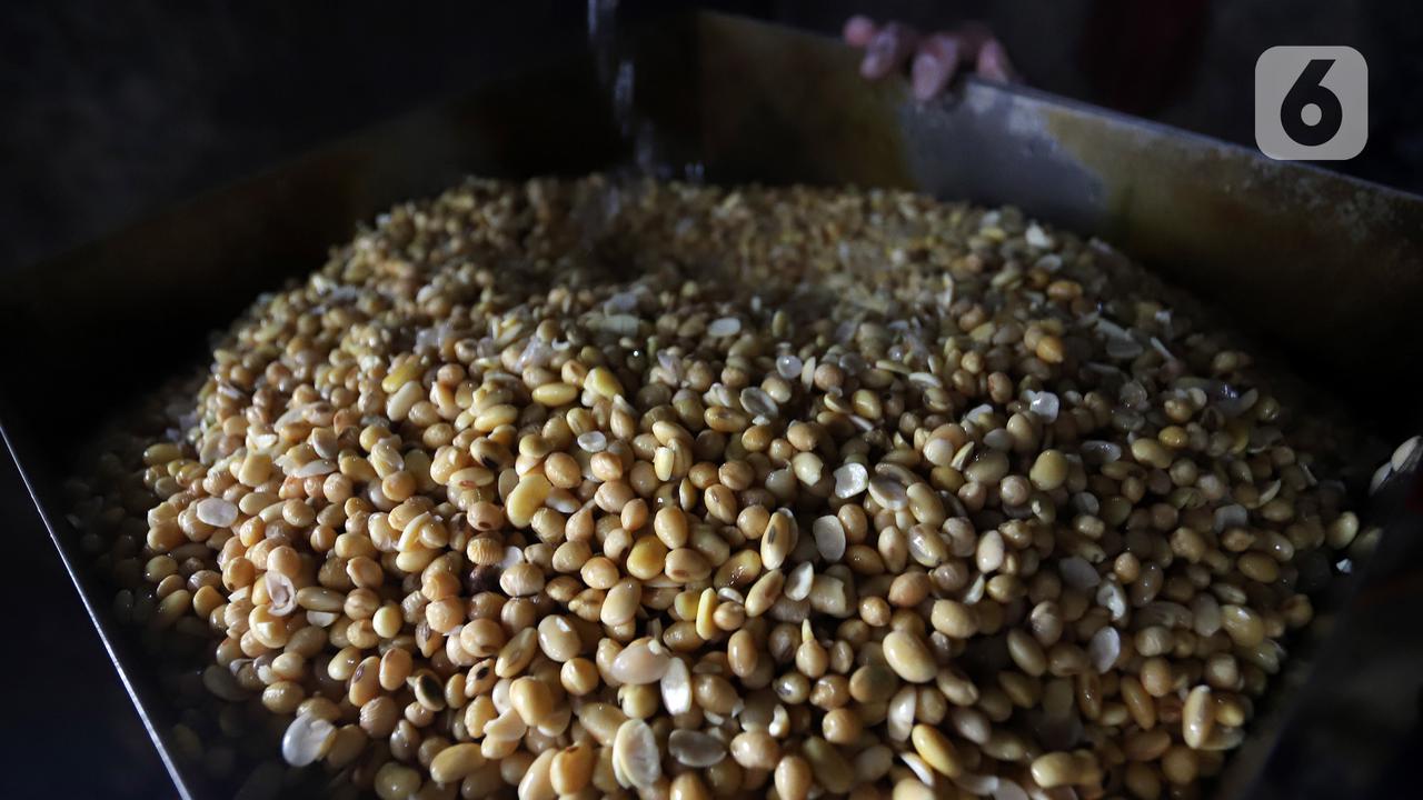 RI Impor 350.000 Ton Kedelai dari Amerika