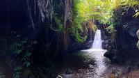Air Terjun Sarang Walet di Desa Wisata Kembang Kuning. (dok. Facebook/Desa Wisata Kembang Kuning)