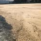 Teluk Bima tercemar limbah misterius berwarna kecokelatan dengan bentuknya seperti jelly (dok.Instagram/@mbojoinside/https://www.instagram.com/p/Cc1rJ8QBLdB/Komarudin)