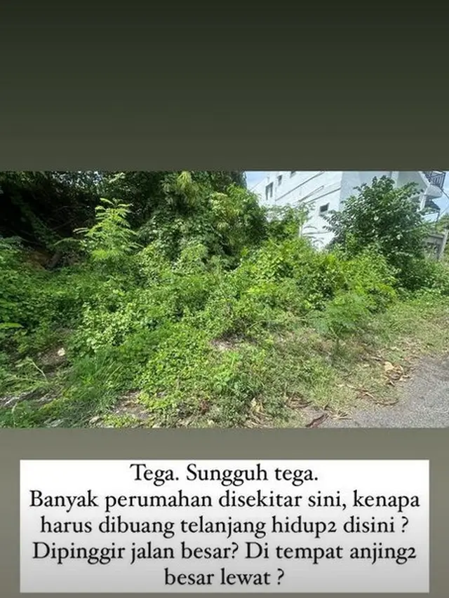ART Nana Mirdad menemukan bayi yang dibuang di semak di Bali (Sumber: Instagram/nanmirdad_)