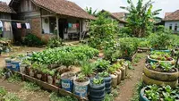 10 Barang Bekas Pengganti Polybag yang Lebih Awet dan Murah untuk Berkebun di Rumah, Pilihan Praktis untuk Pemula