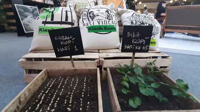 Mengajak Pengunjung Mal Lebih Mengenal Perjalanan Kopi hingga Tersaji di Cangkir Lewat Pameran