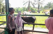 Polres Pasaman Barat Ingatkan Masyarakat Waspada Pencurian Ternak Jelang Idul Adha
