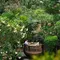 Slow Living di Tengah Jakarta? Hidden Sanctuary Ini Bisa Jadi Tempat Recharge Favoritmu