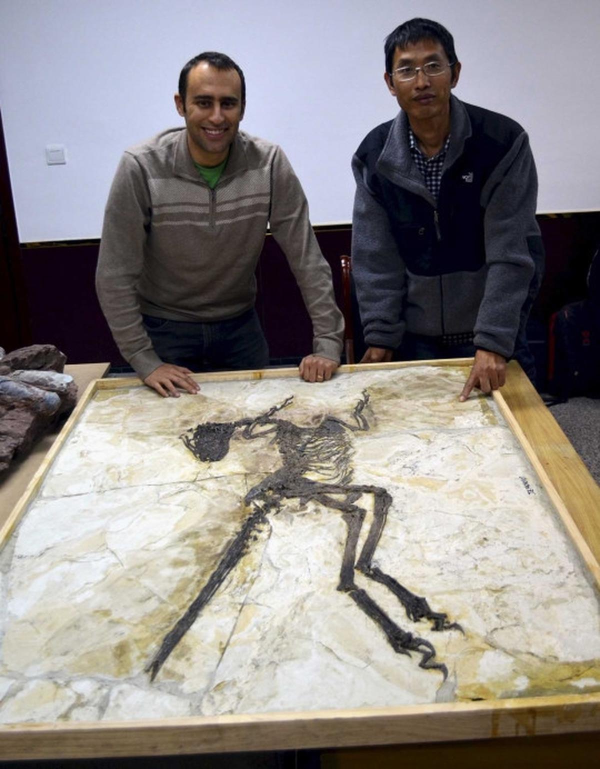 Ini wujud Zhenyuanlong, dinosaurus bersayap yang ditemukan di China