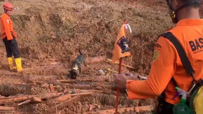 Longsor Cilacap, 9 Anjing Pelacak Dikerahkan Cari Korban yang Masih Tertimbun