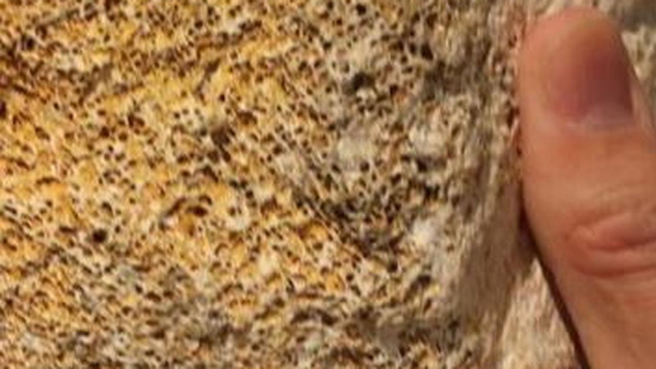 Temuan 'Tulang Naga' di China Ungkap Manusia Purba Punya Kesukaan yang Sama dengan Manusia Zaman Sekarang