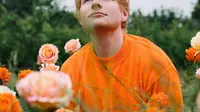 Lirik Lagu First Times dari Ed Sheeran, Kisah Romantis Momen Pertama