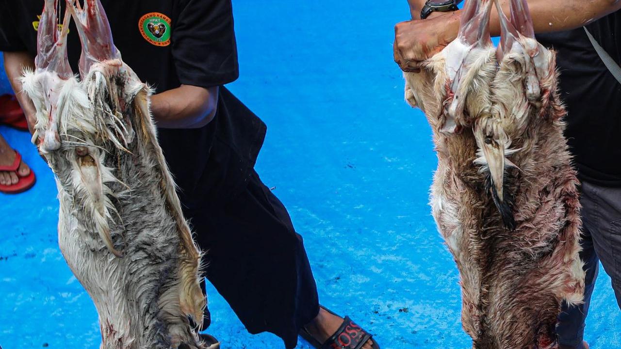 Tak hanya pertunjukan palang pintu, Lebaran Tenabang 2024 juga menghadirkan lomba menguliti kambing hingga berbagai kuliner khas Betawi.&nbsp;Liputan6.com/Angga Yuniar