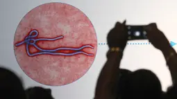 Seorang peserta melihat layar proyeksi yang memperlihatkan rupa virus Ebola saat sesi presentasi yang dilakukan Pusat Pengendalian dan Pencegahan Penyakit di Los Angeles, California, 7 November 2014. (David McNew/Getty Images/AFP)