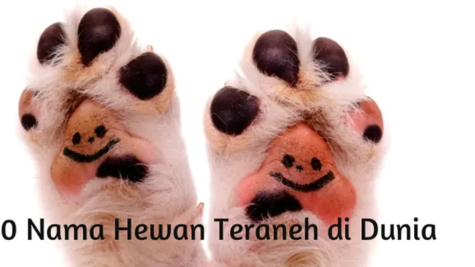 Foto: copyright ThinkStockPhotos.com