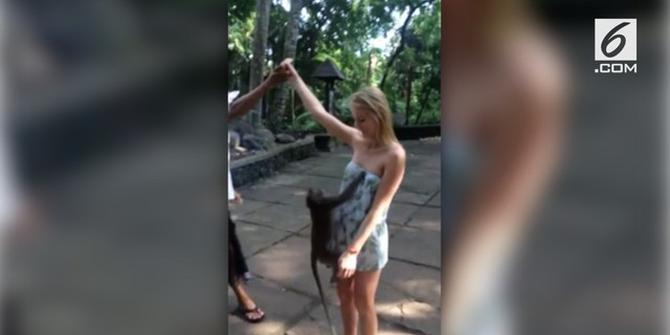 VIDEO: Monyet Tarik Baju Turis Wanita hingga Tersingkap