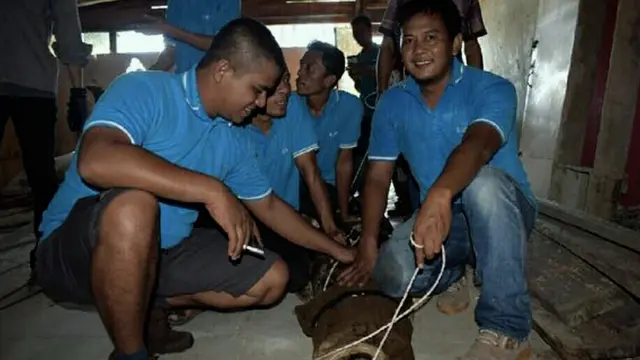 Buaya ganas