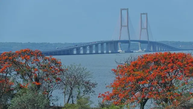 Bunga Flamboyan Mulai Mekar di Musim Hujan, Ini 5 Potret Surabaya Bak Negeri Jepang